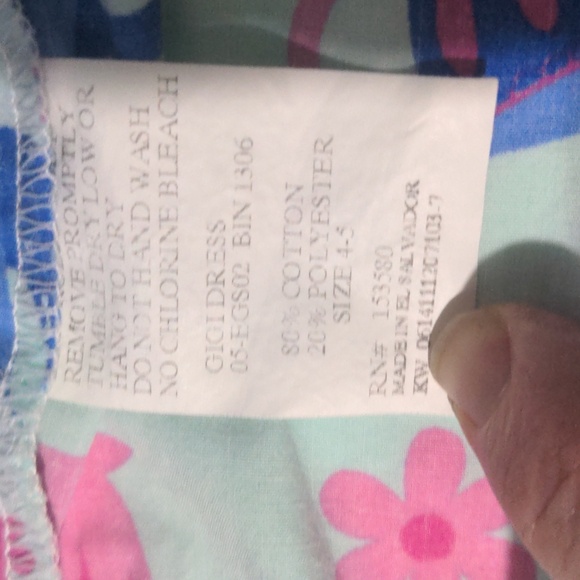 Eleanor Rose Rare Tea Pot Toddler Girls  GiGi Dress. Size 4-5T - Picture 8 of 8